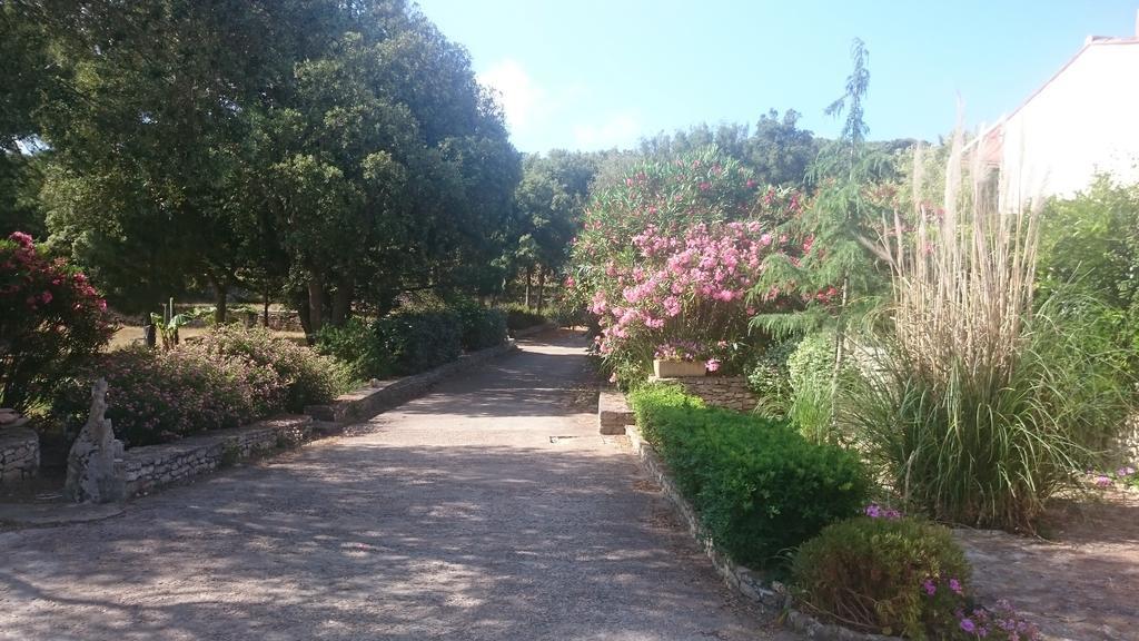 Domaine De Foresta Bonifacio  Dış mekan fotoğraf